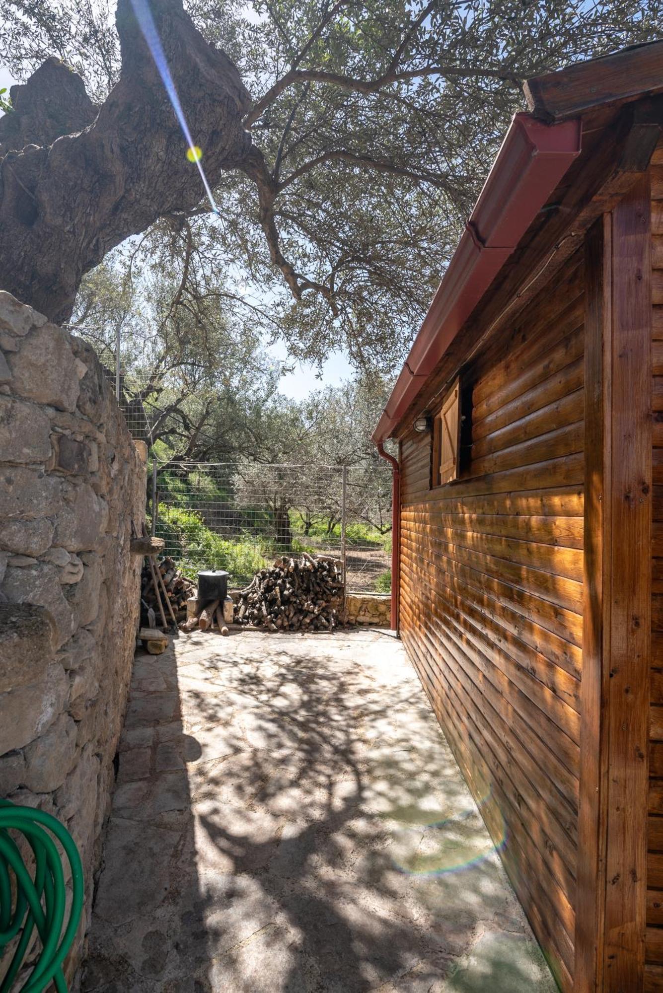 Wooden House Apartments Kalathenai Extérieur photo
