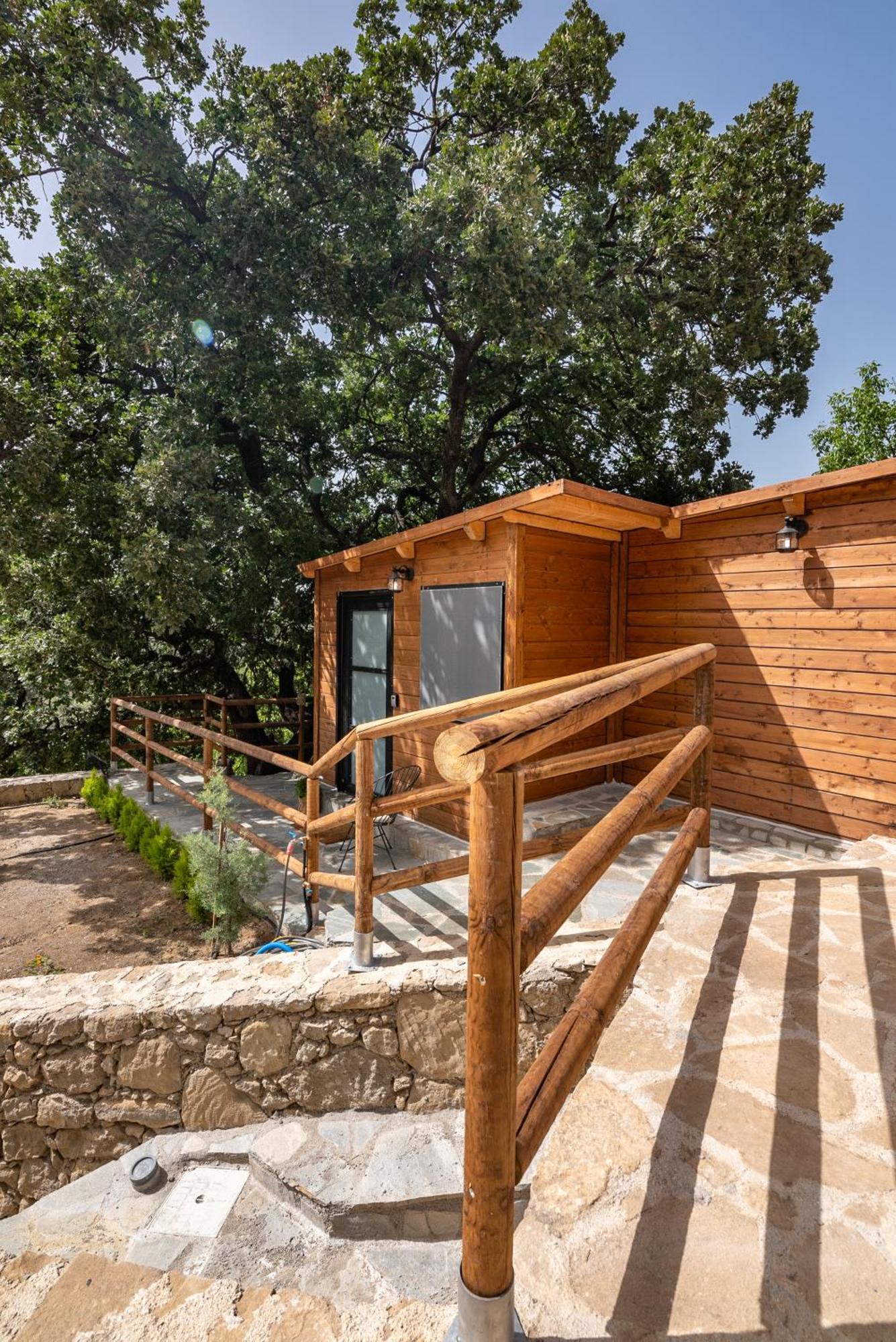 Wooden House Apartments Kalathenai Extérieur photo