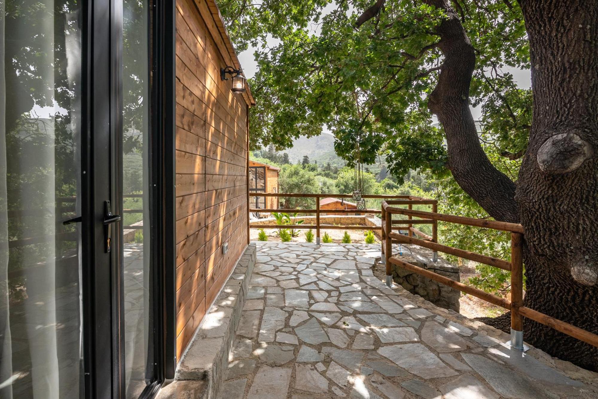 Wooden House Apartments Kalathenai Extérieur photo