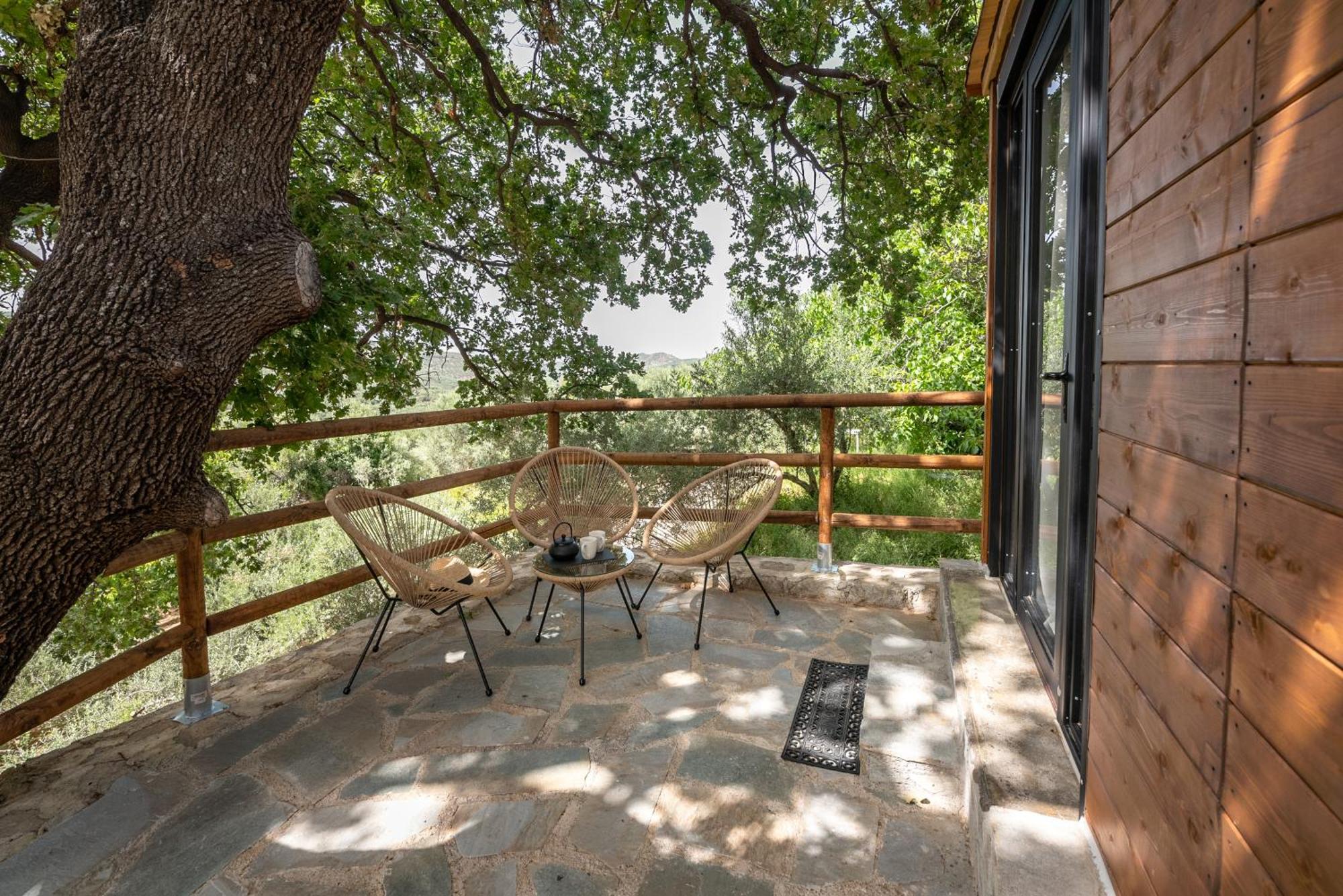 Wooden House Apartments Kalathenai Extérieur photo