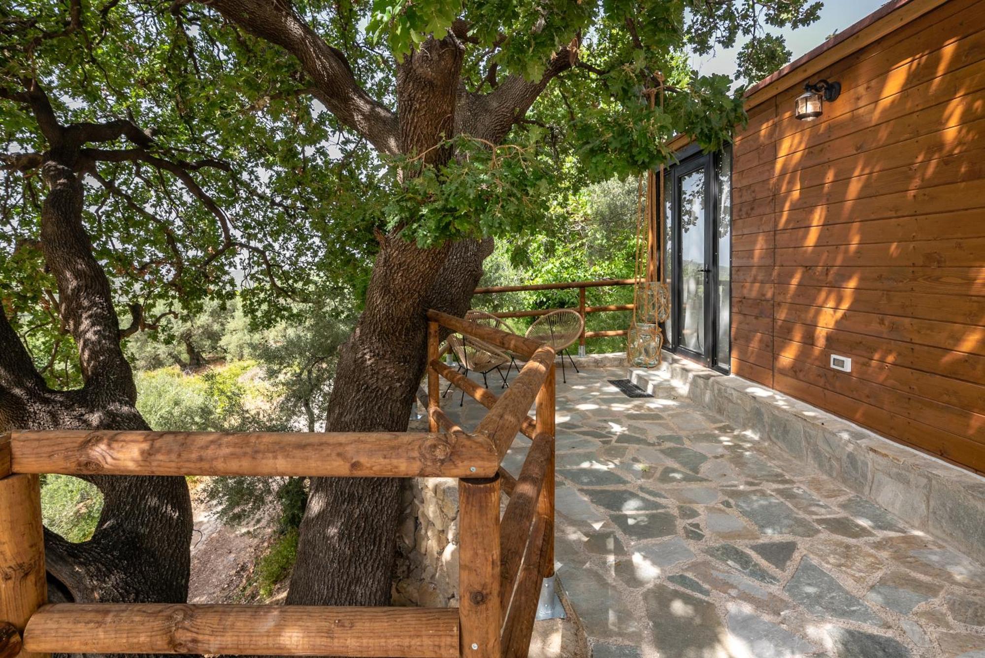 Wooden House Apartments Kalathenai Extérieur photo
